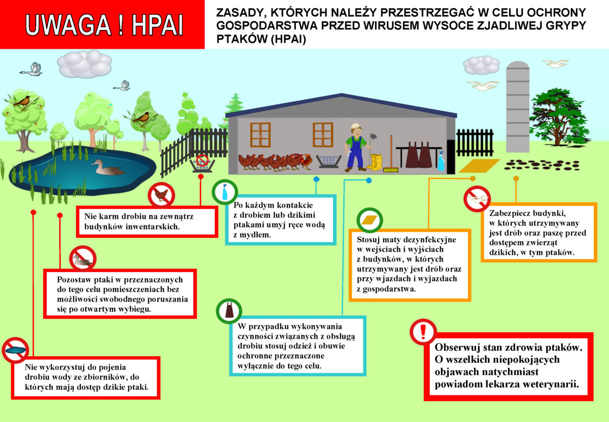 Rozporządzenie Wojewody Mazowieckiego w sprawie zwalczania HPAI